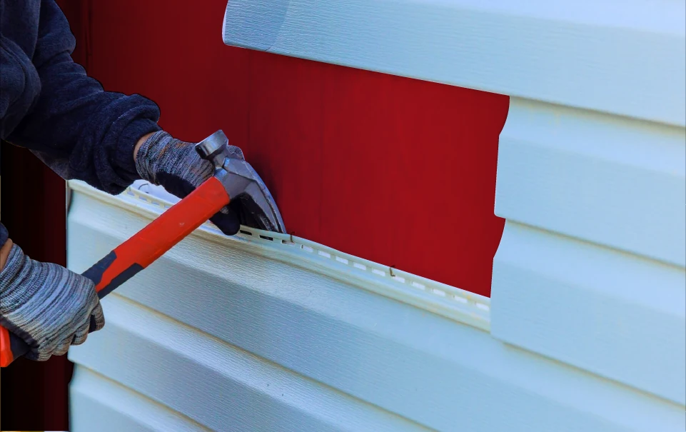 Protection and Style for Your Walls